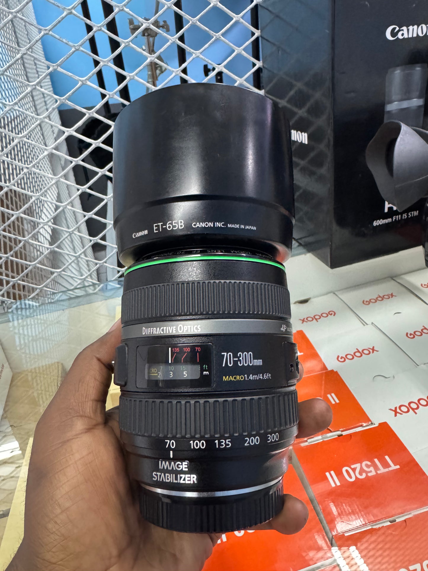 Canon EF 70-300mm f/4.5-5.6 DO IS USM (Used)